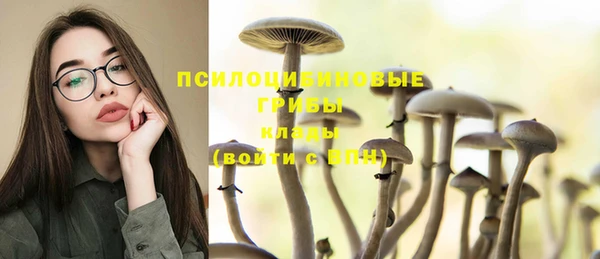 индика Алексеевка