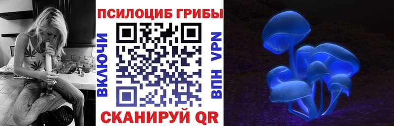 Псилоцибиновые грибы MAGIC MUSHROOMS  гидра ссылка  Беслан 