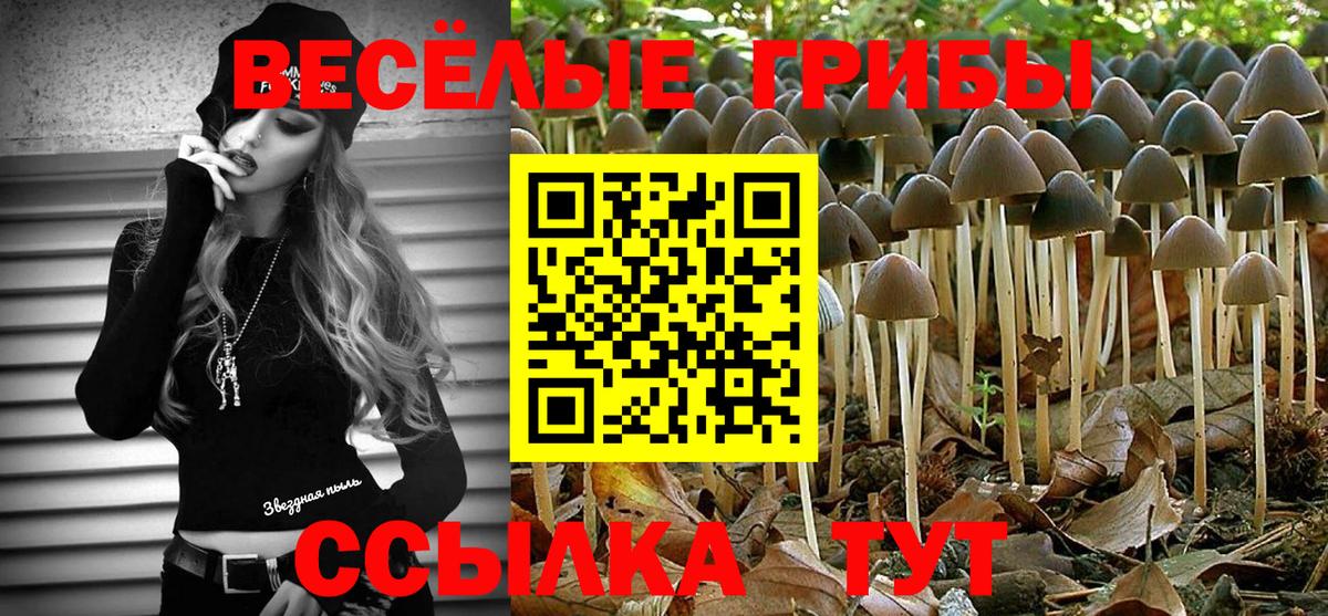 Псилоцибиновые грибы GOLDEN TEACHER Беслан